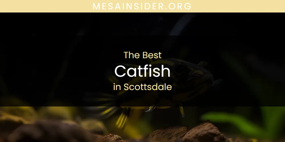 The 2026 Best Catfish in Scottsdale List