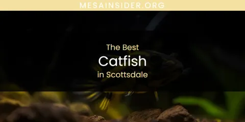 The Best Catfish in Scottsdale List