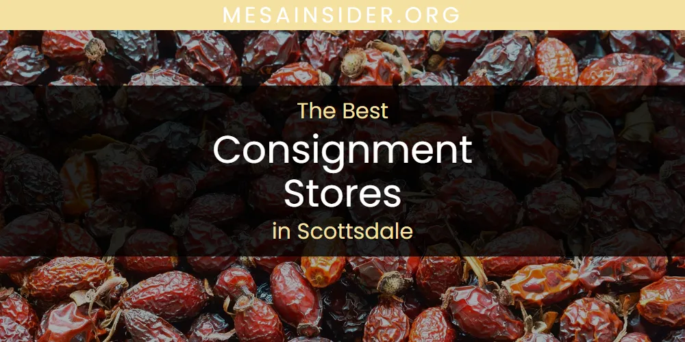 Scottsdale's Best Consignment Stores [Updated 2025]