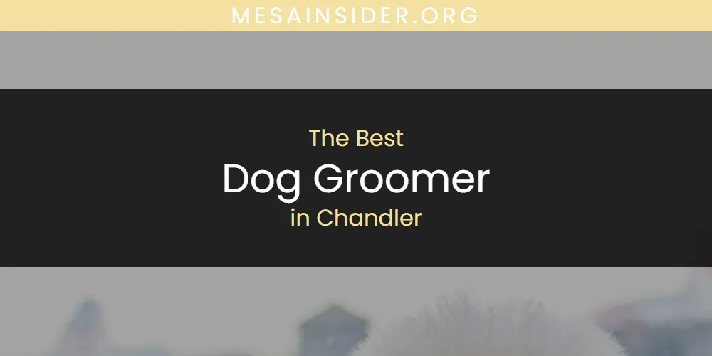The Absolute Best Dog Groomer in Chandler  [Updated 2025]