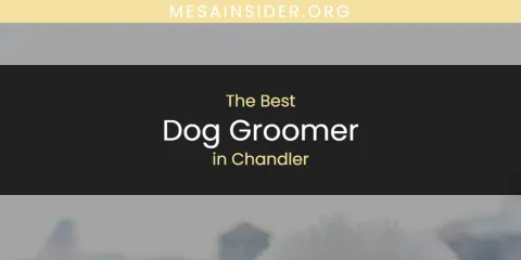 The Absolute Best Dog Groomer in Chandler