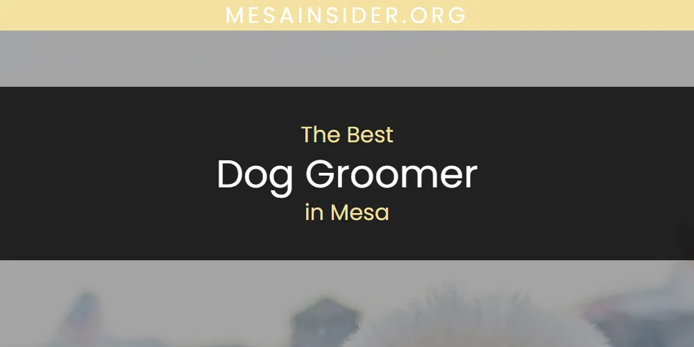 Mesa's Best Dog Groomer [Updated 2025]