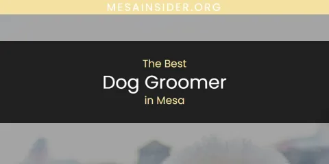 Mesa's Best Dog Groomer