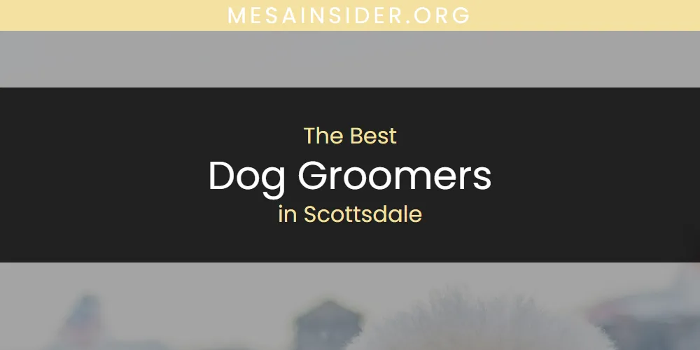 Scottsdale's Best Dog Groomers [Updated 2025]