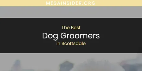 Scottsdale's Best Dog Groomers