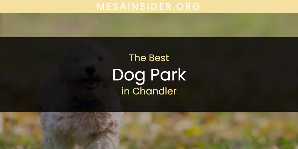 The Absolute Best Dog Park in Chandler  [Updated 2025]