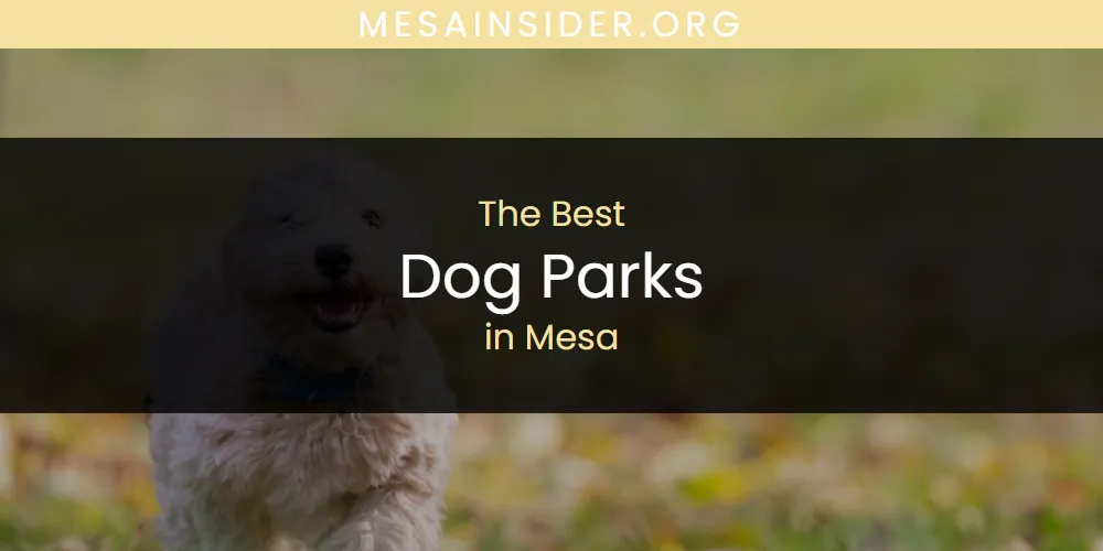 Mesa's Best Dog Parks [Updated 2025]