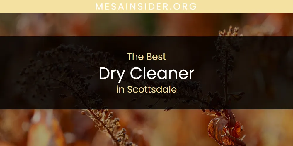 Scottsdale's Best Dry Cleaner [Updated 2025]