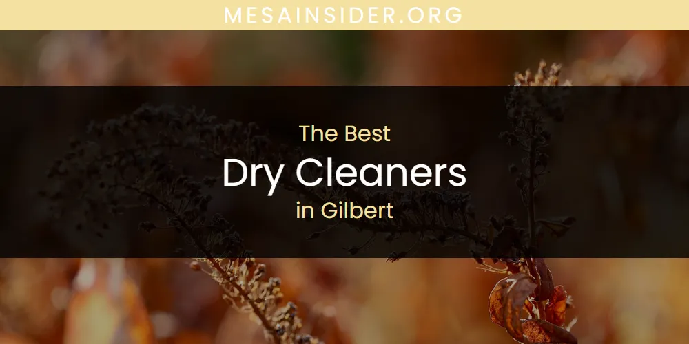 The Absolute Best Dry Cleaners in Gilbert  [Updated 2025]