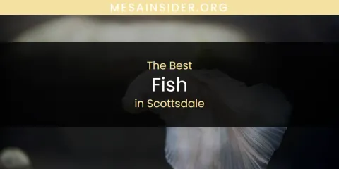 Scottsdale's Best Fish