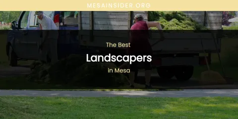 Mesa's Best Landscapers