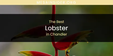 The Absolute Best Lobster in Chandler