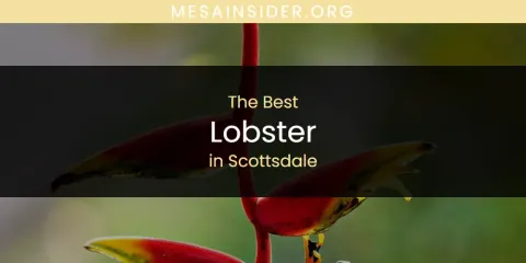 Scottsdale's Best Lobster