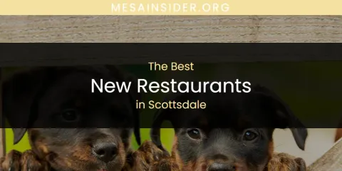 Best New Restaurants in Scottsdale: Our Expert Picks