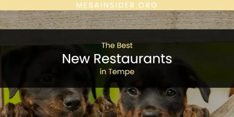 Tempe's Best New Restaurants