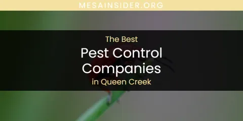 Queen Creek's Best Pest Control Companies