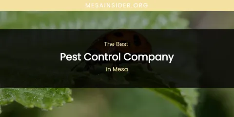 Mesa's Best Pest Control Company