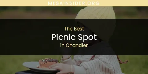The Absolute Best Picnic Spot in Chandler