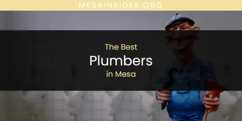 Ranked: Best Plumbers in Mesa