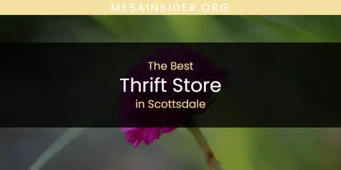 Scottsdale's Best Thrift Store