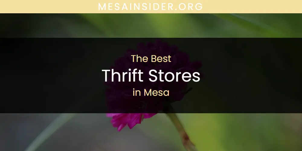 Mesa's Best Thrift Stores [Updated 2025]