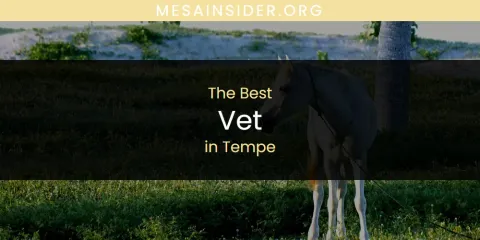 Tempe's Best Vet