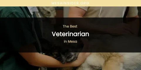 Mesa's Best Veterinarian